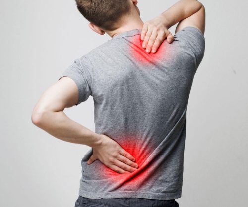 Musculoskeletal Health